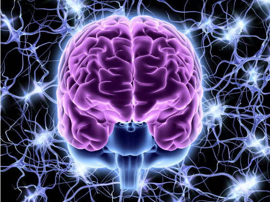 Parenting a Neurodivergent Child | Navigating Stress and Celebrating Breakthroughs