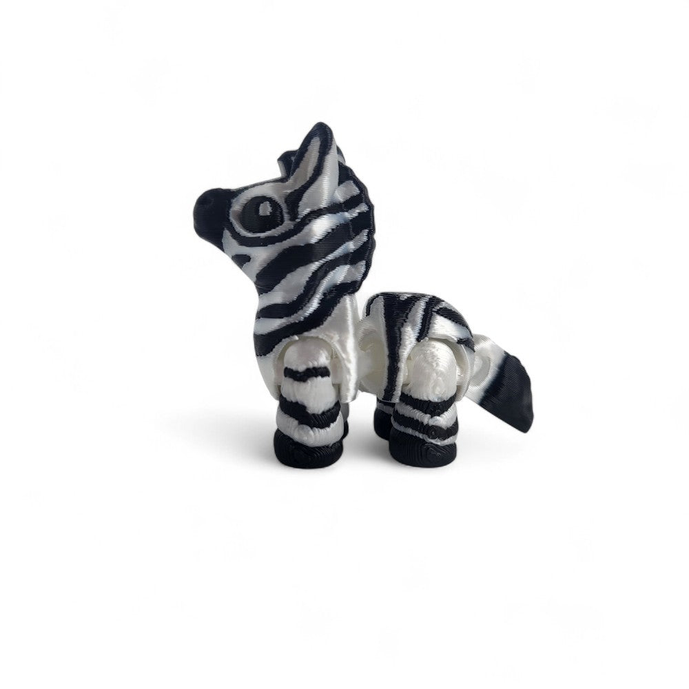 Zebra | Zippy