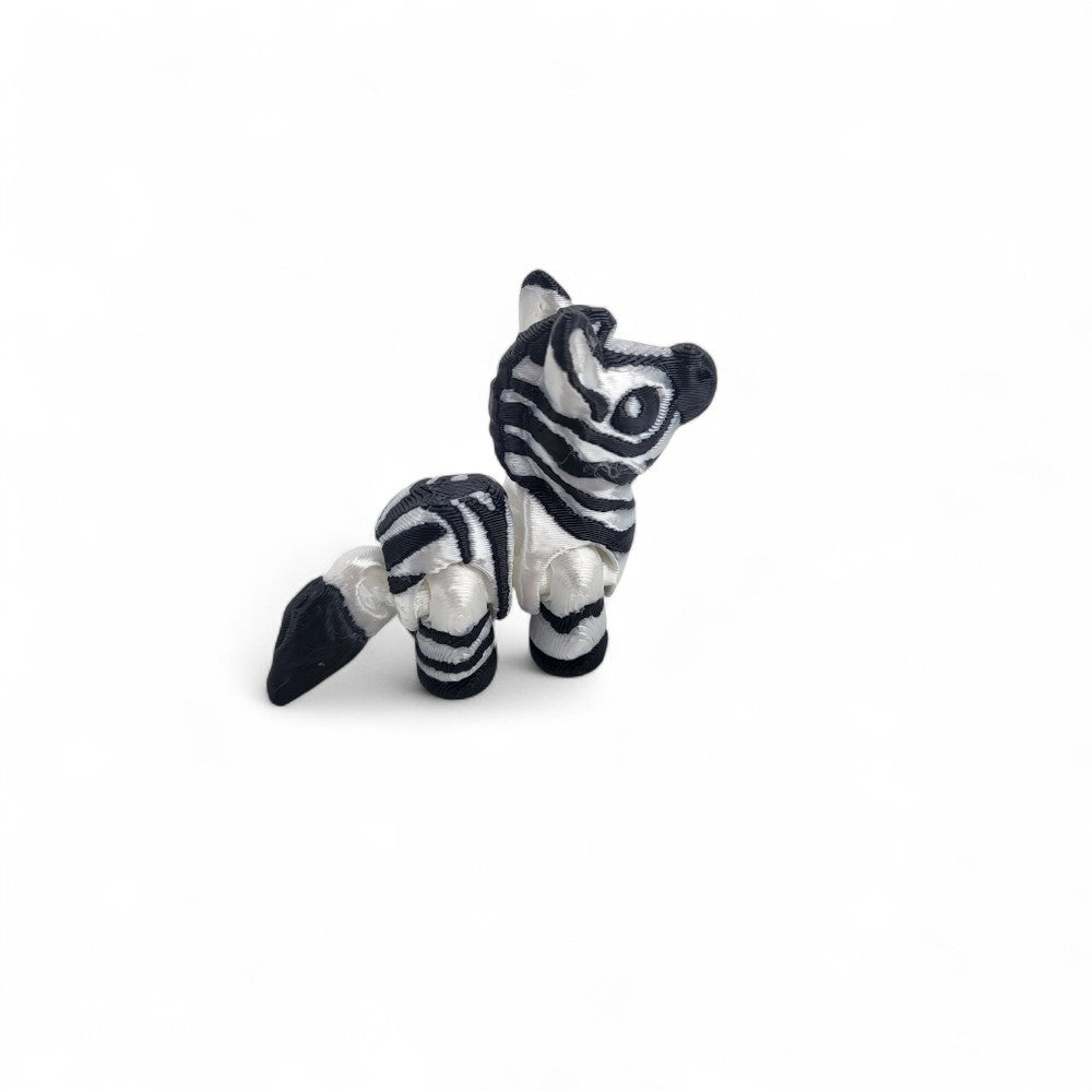 Zebra | Zippy