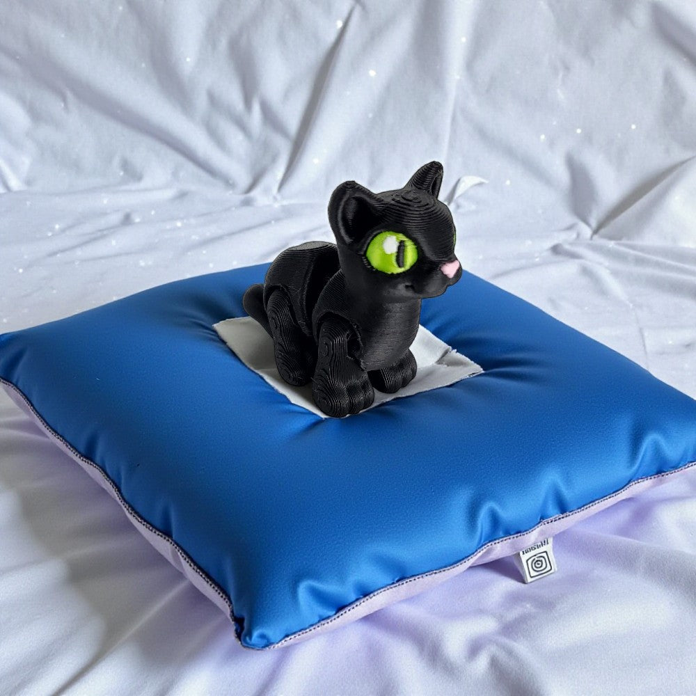 American Shorthair Cat | Salem