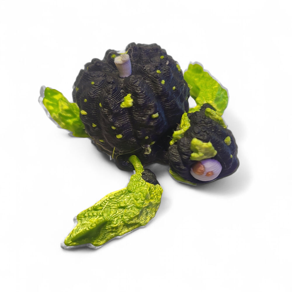 Turtle Jack o' Lantern