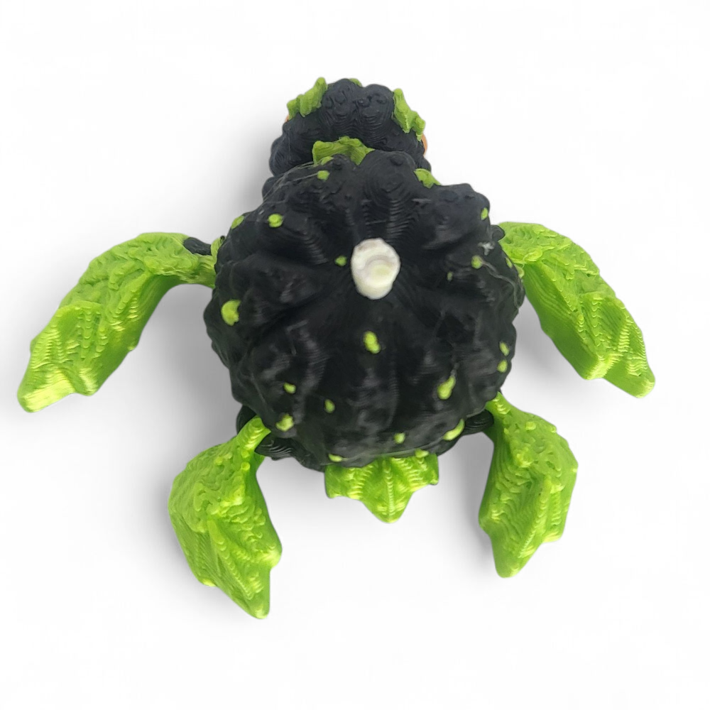 Turtle Jack o' Lantern