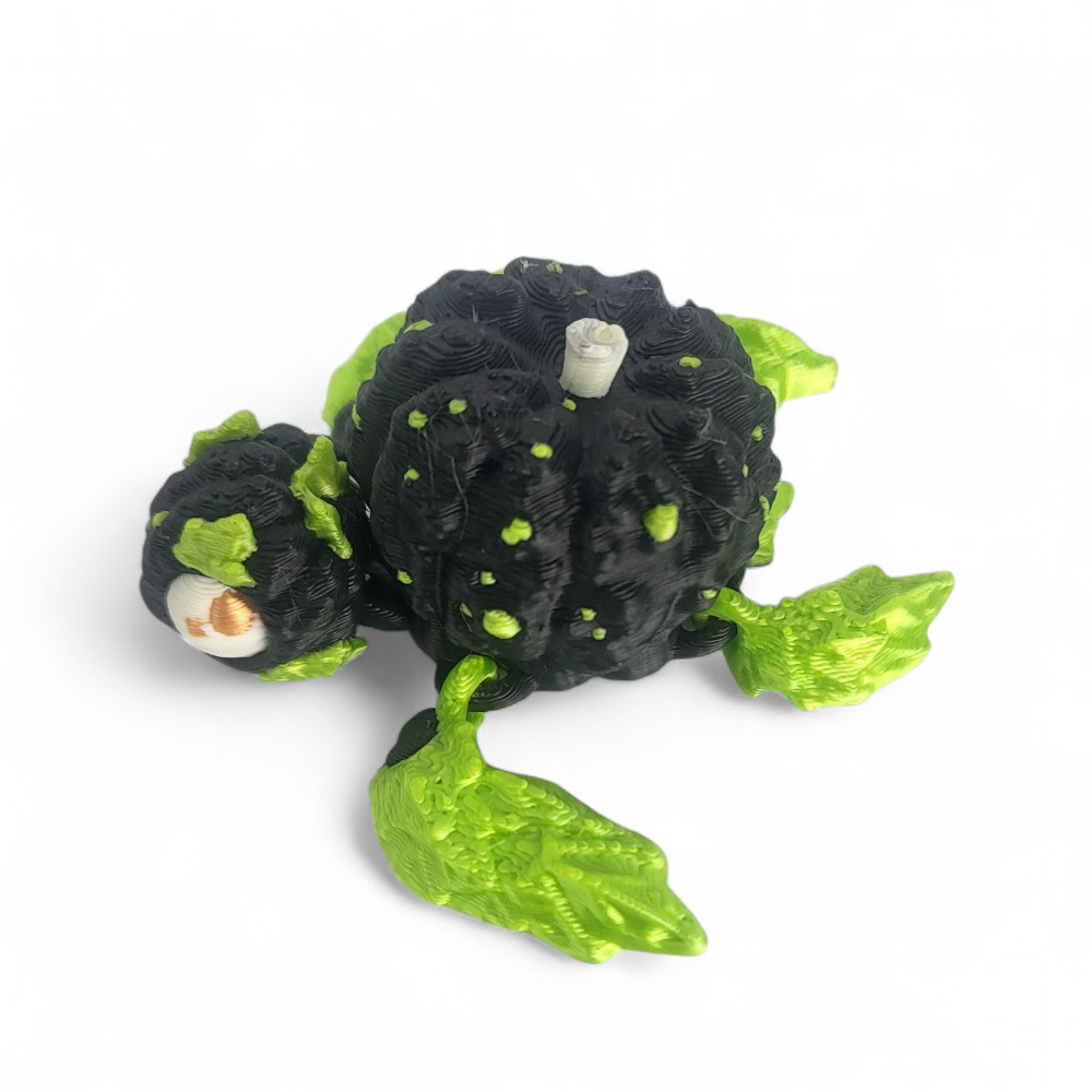 Turtle Jack o' Lantern