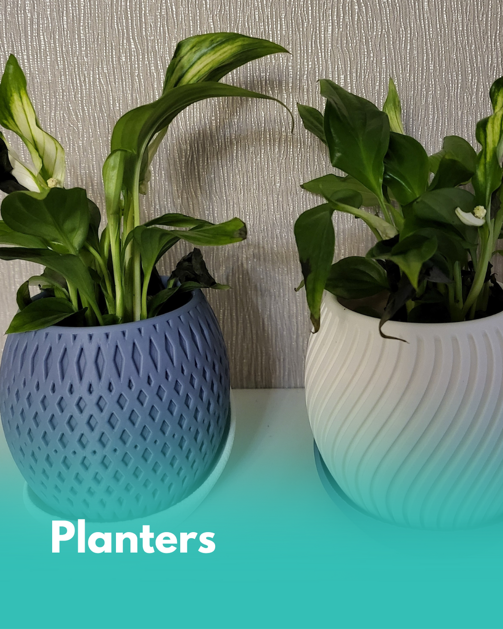 Planters