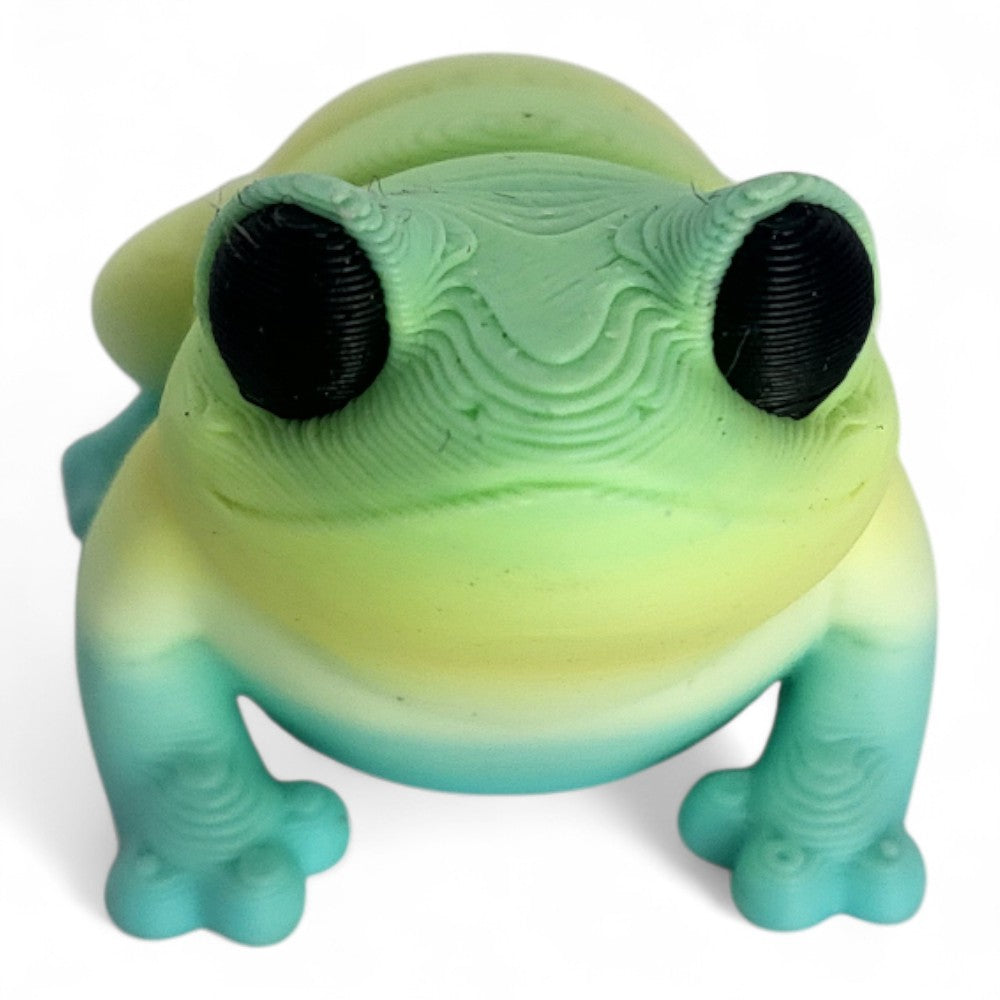 Frog | Gerald