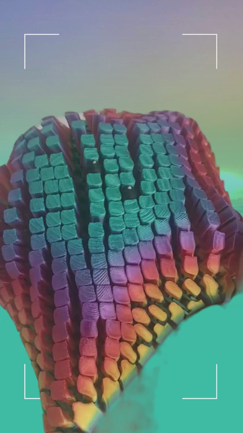 Flexi Starfish Blanket