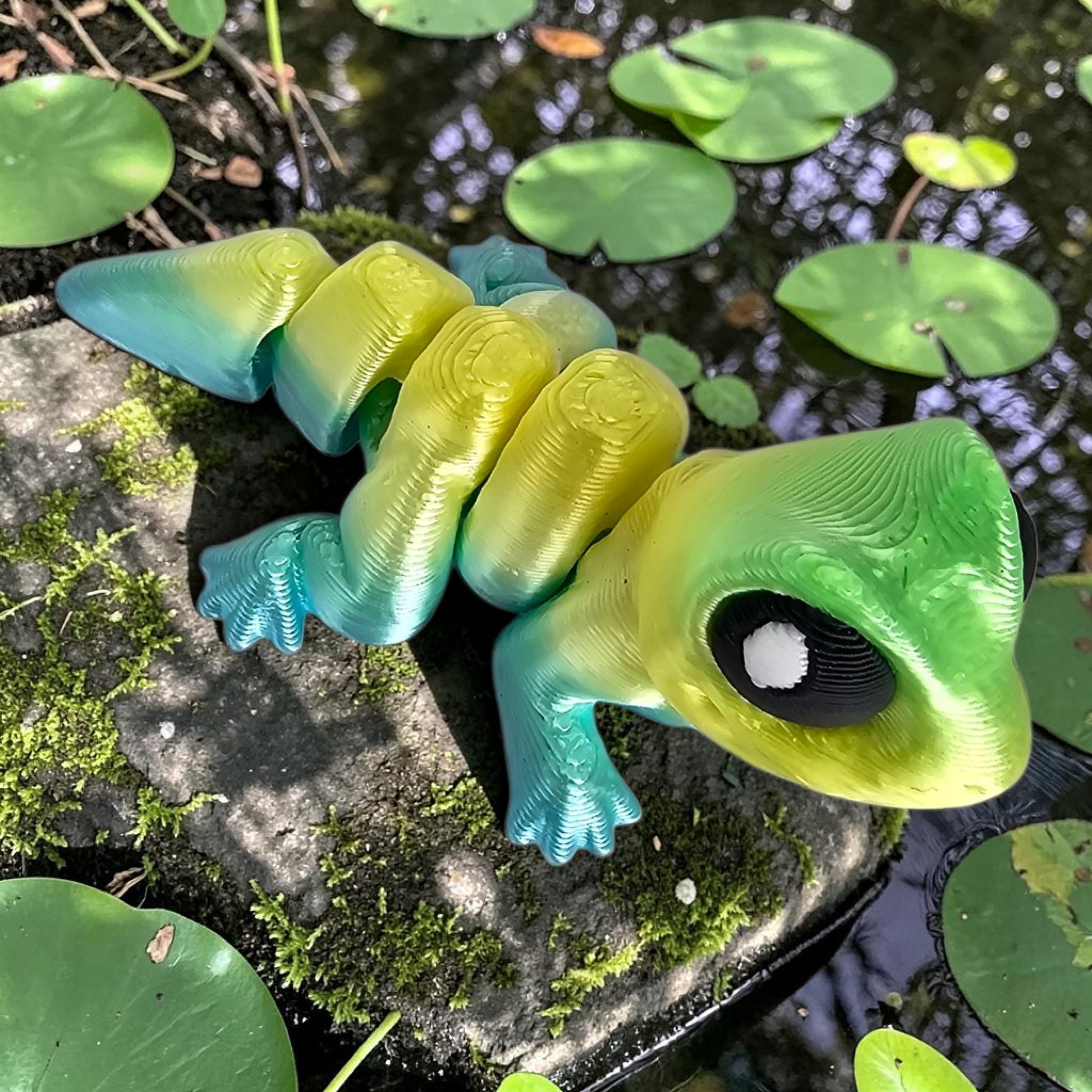 WK Pond Collection