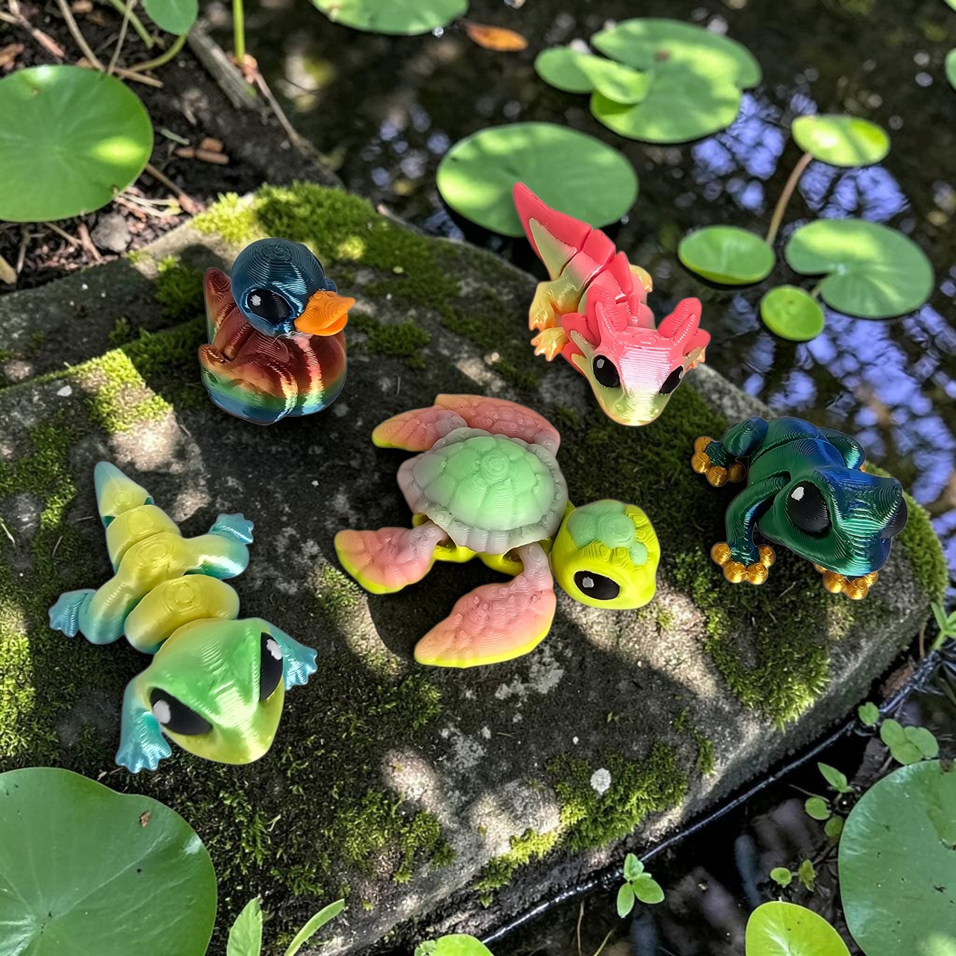 WK Pond Collection