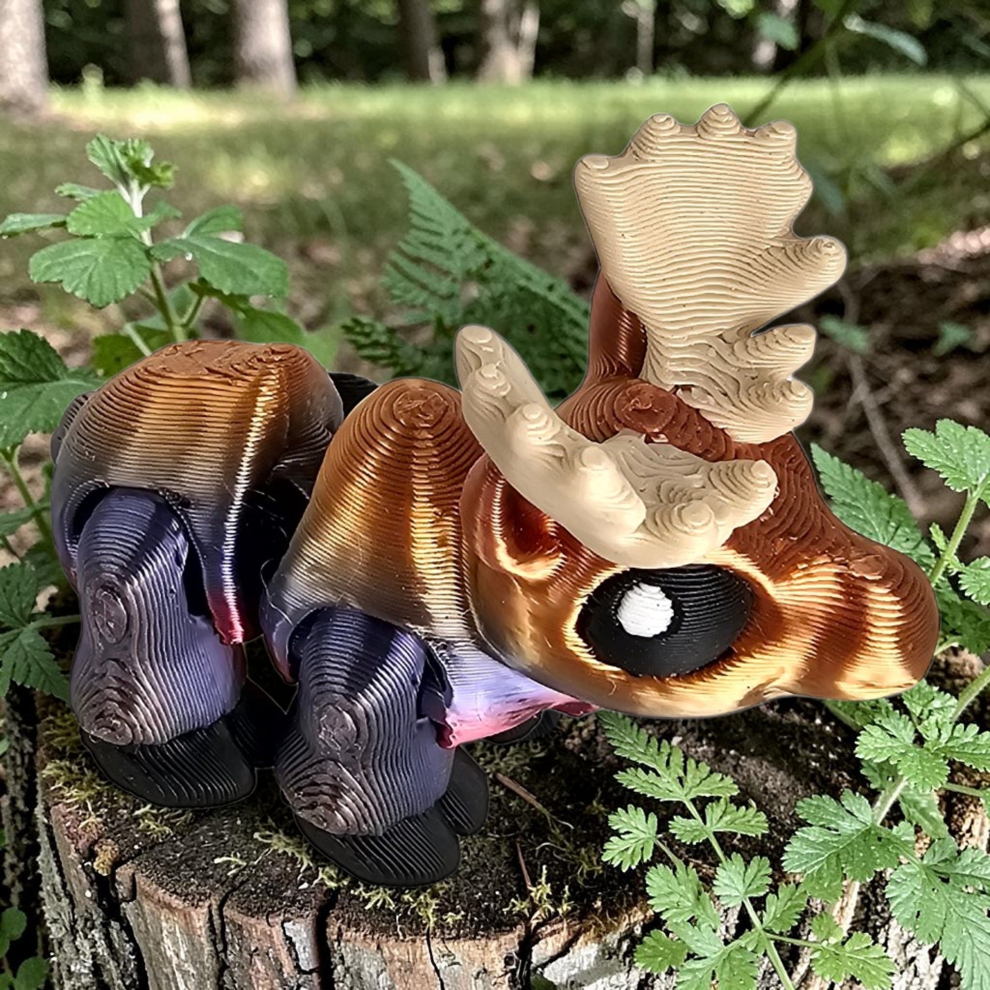 WK Woodland Collection