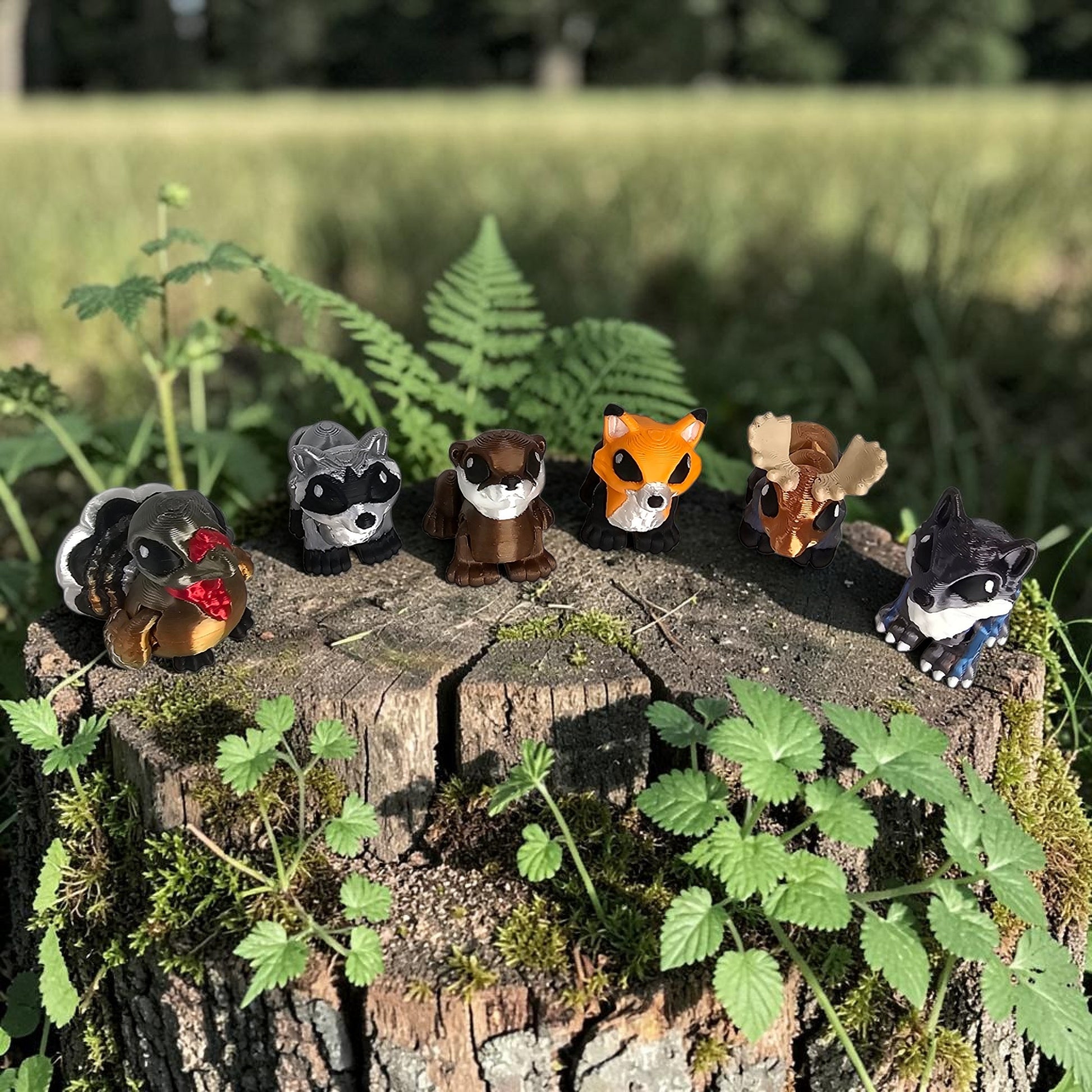 WK Woodland Collection