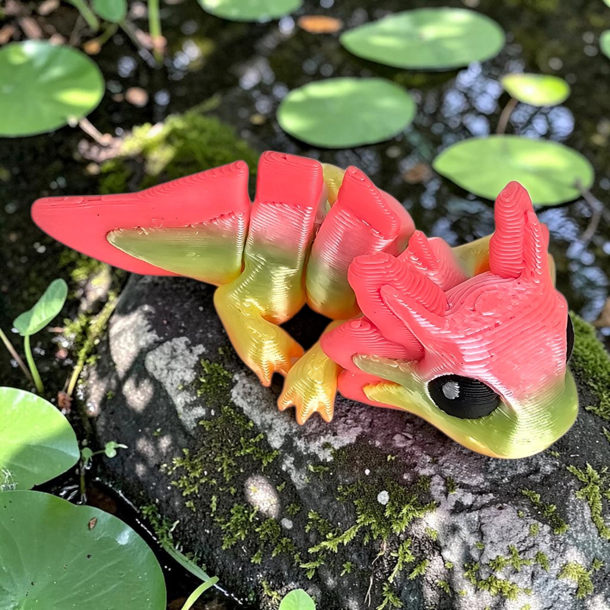 WK Pond Collection