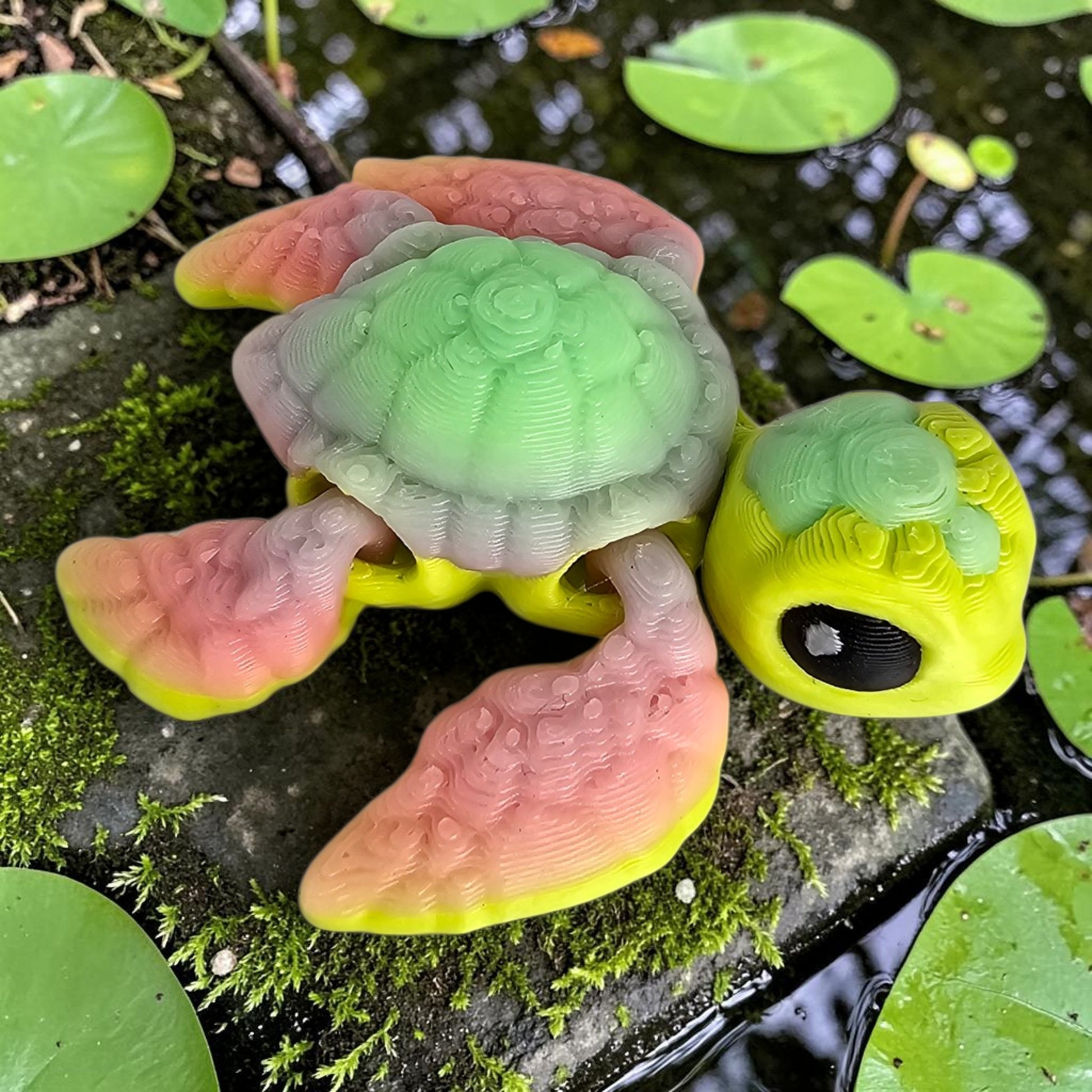 WK Pond Collection
